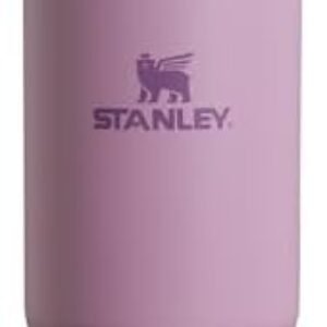 Stanley IceFlow Flip Straw Tumbler with Handle 30 oz | Twist On Lid and Flip Up Straw | Leak Resistant Water Bottle | Insulated Stainless Steel |BPA-Free | Lilac