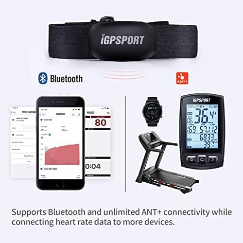 iGPSPORT Heart Rate Monitor Bluetooth & ANT+ for Fitness Training Running Cycling Gym and Compatible with Garmin Polar Wahoo - Image 4
