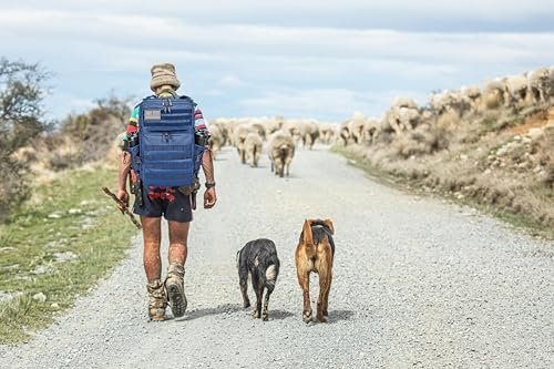 LHI Military Tactical Backpack for Men and Women 45L Army 3 Days Assault Pack Bag Large Rucksack with Molle System - Image 7