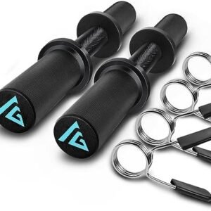 16" Olympic Dumbbell Handle, Dumbbell Bar for 2-inch Olympic Weight Plates, Loadable Dumbbells for Home Gym Strength Training, 2 Pair of Spring Collars Included